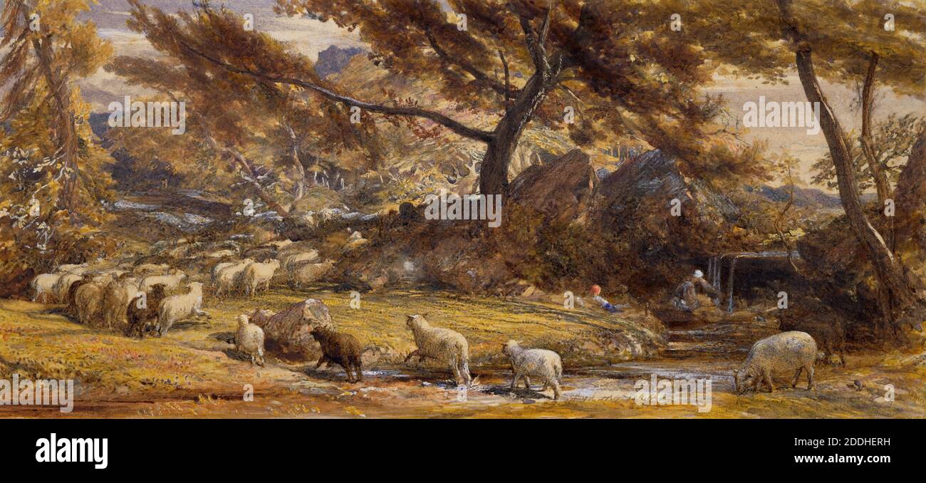 Sheep Crossing A Stream, 1825-1880 Samuel Palmer, Landscape, Animal, Sheep, River, Countryside, Farming, Woodland Banque D'Images