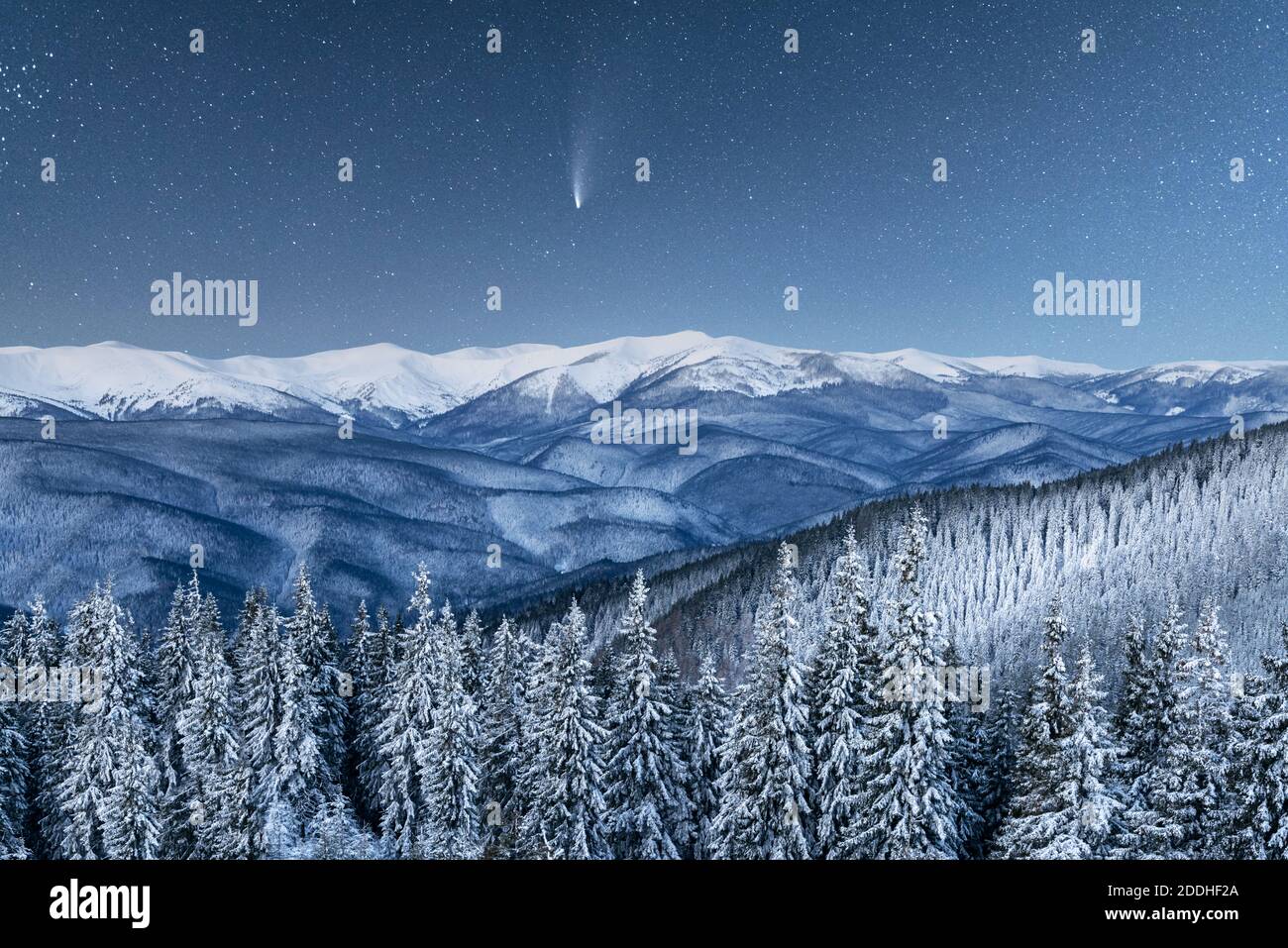 Magnifique paysage d'hiver illuminé par la lumière des étoiles. Scène vinique spectaculaire avec arbres enneigés et comète dans le ciel nocturne. Carpates, Europe Banque D'Images