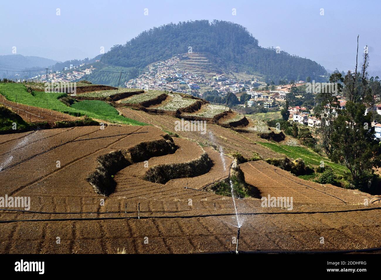 Champs en terrasse avec arroseurs d'eau sur une ferme,. Agriculture indienne. Vue sur un petit village près d'Ooty (Udhagai), Inde Banque D'Images