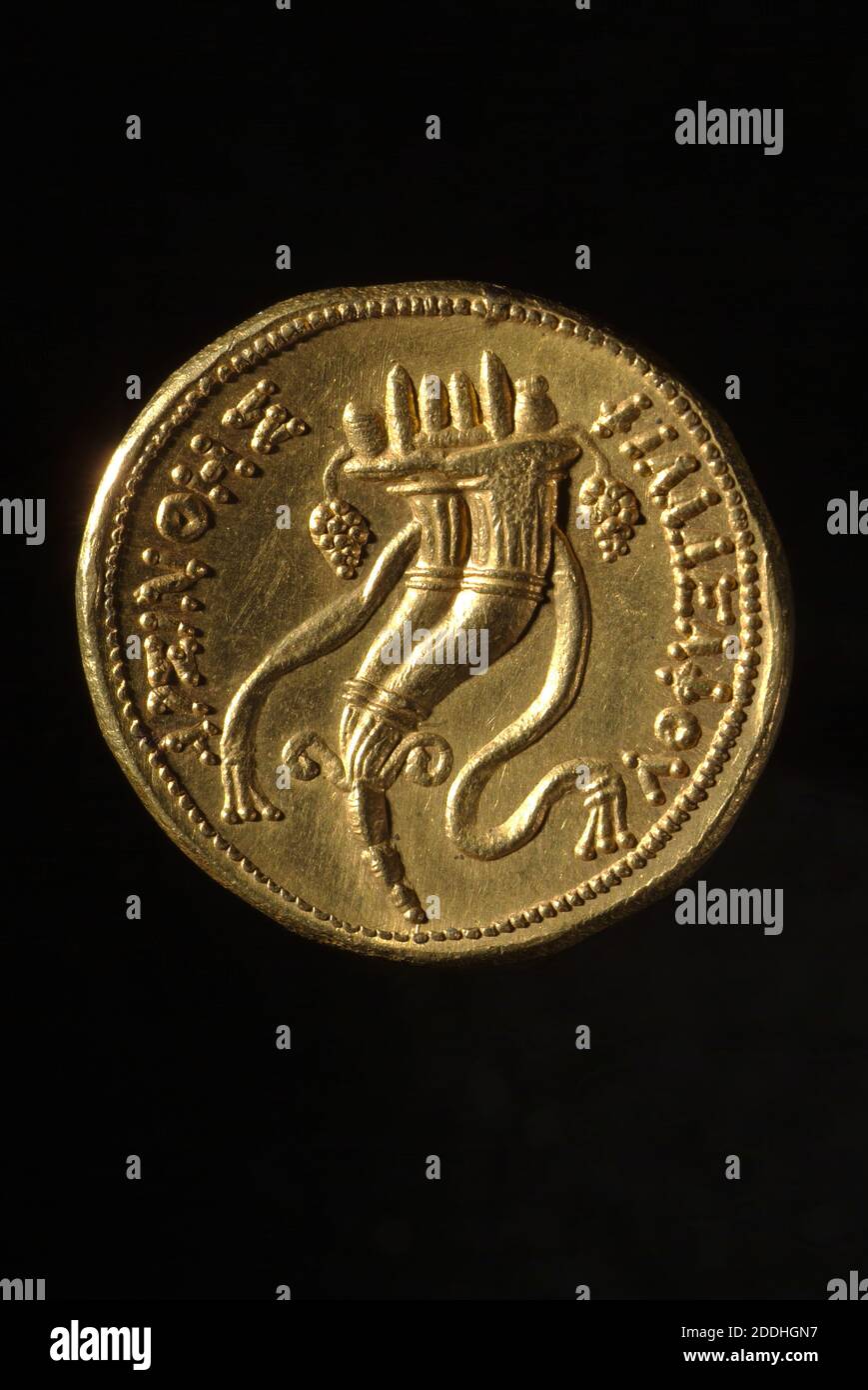 Vue transversale Oktadrachm grec d'Arsinoe II, 240 BC pièce d'or avec corne d'abondance, un symbole de prospérité, métaux précieux, or, pièces anciennes et médiévales, Numismatique, Cornucopia, Grèce antique, argent Banque D'Images