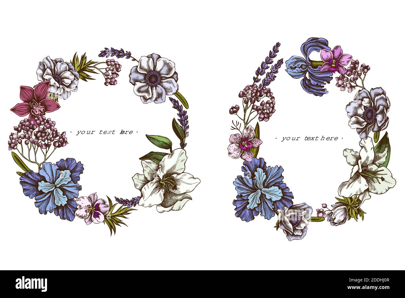 Couronne florale d'anémone colorée, lavande, romarin éternel, phalaenopsis, lis, iris Illustration de Vecteur