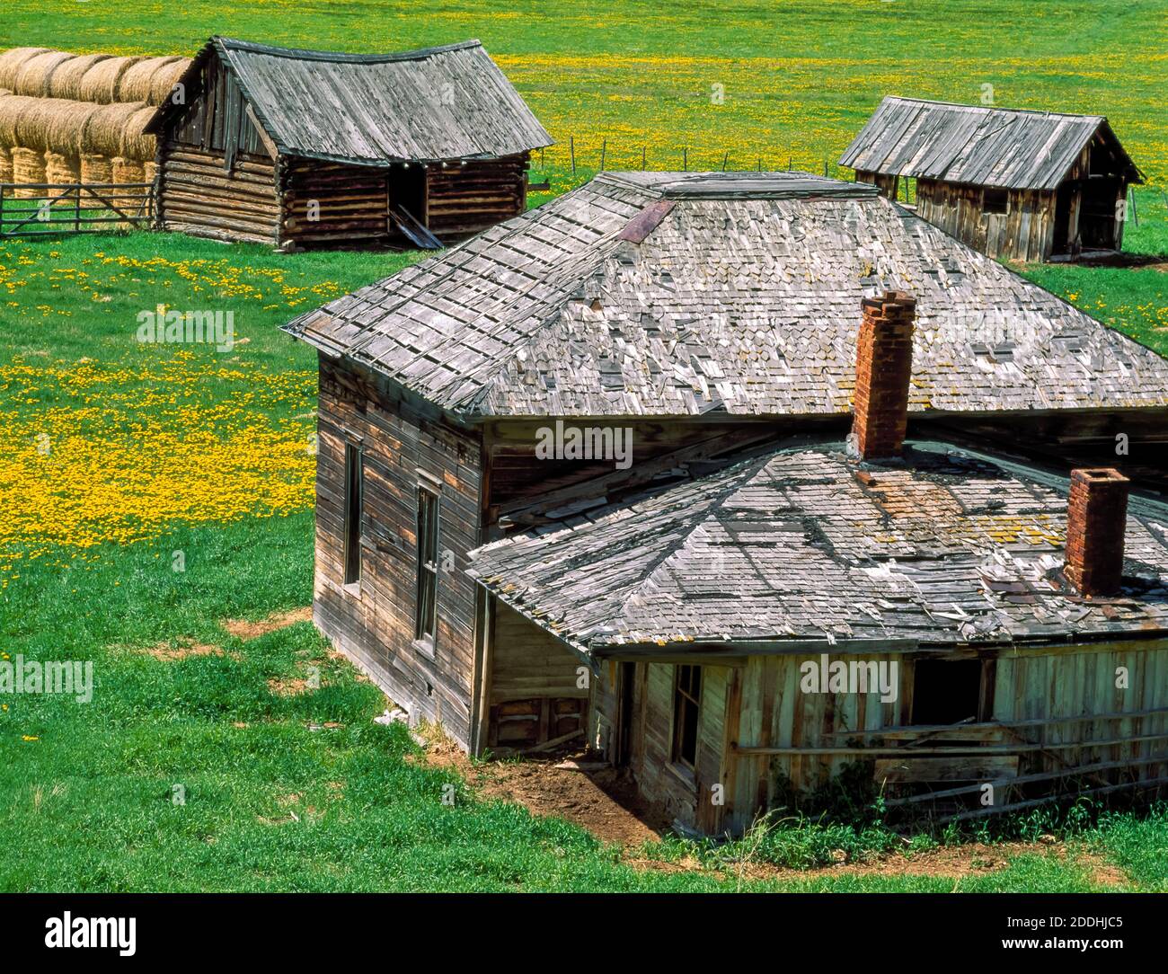 homestead bâtiments dans la vallée de la crique de flint près de philipsburg, montana Banque D'Images