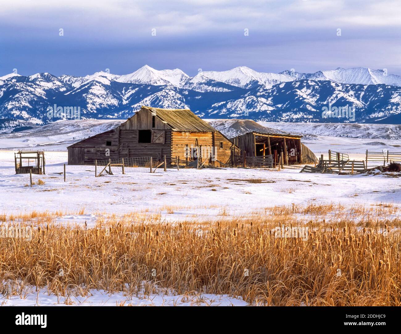 grange en bois sous les montagnes folles en hiver près de wilsall, montana Banque D'Images