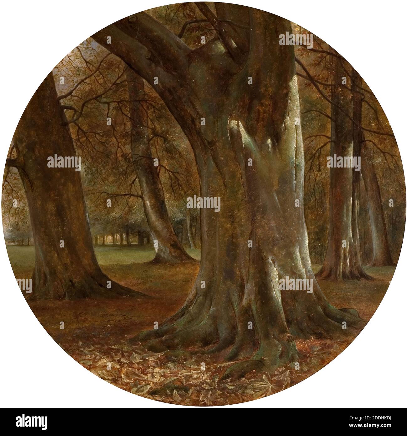 L'automne de l'année, 1857 par George Wallis, arbre, peinture à l'huile, saison, automne, Forêt, nature Banque D'Images