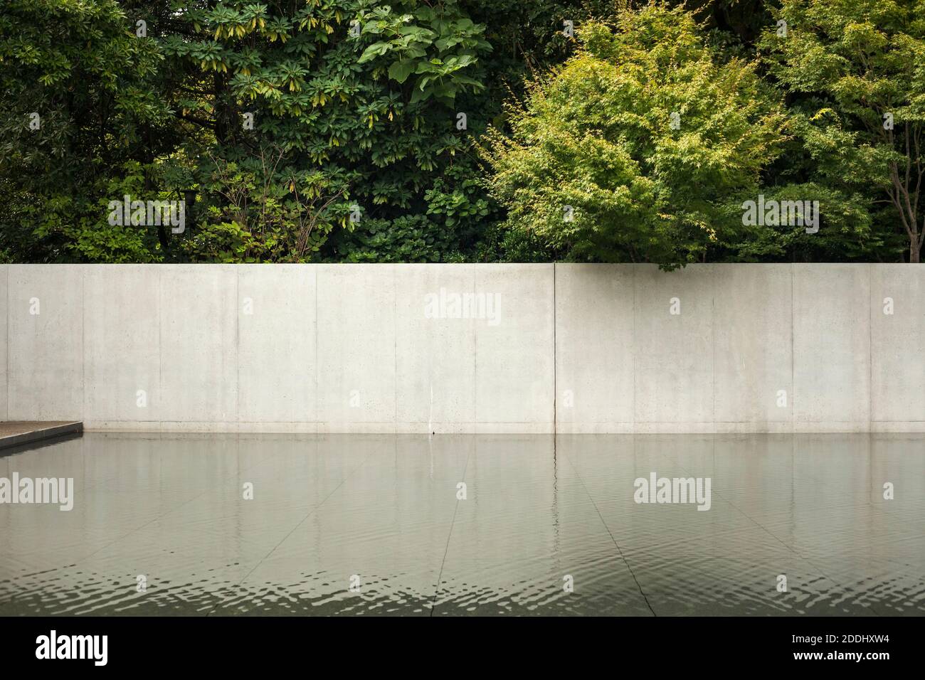 Vue horizontale d'un détail du D.T. Suzuki Museum Water Mirror Garden, Kanazawa, Japon Banque D'Images