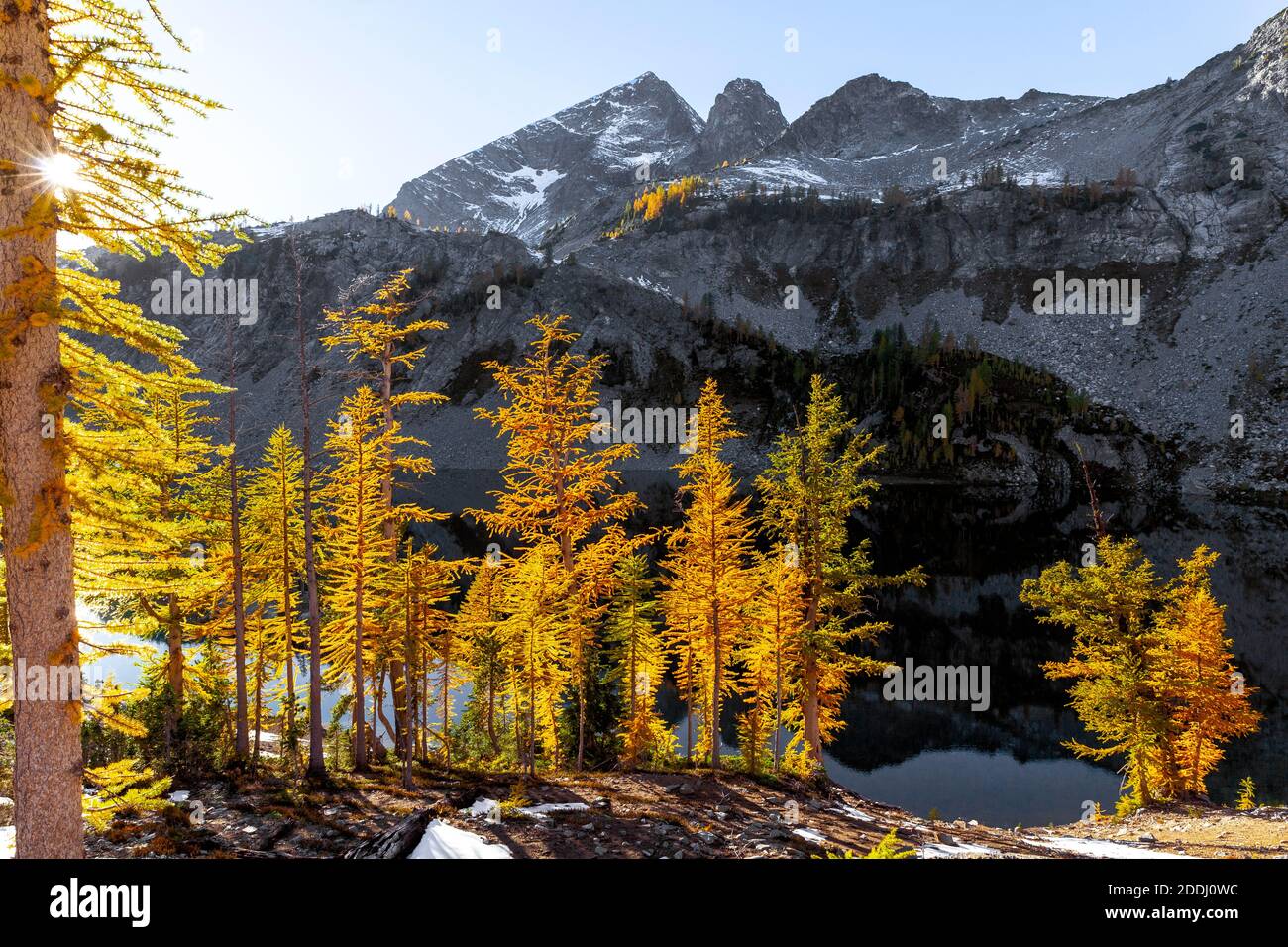 WA17753-00..... WASHINGTON - les grands arbres sont de couleur automnale à Lower Ice Lake, Glacier Peak Wilderness, Okanogan Wenatchee National Forest. Banque D'Images