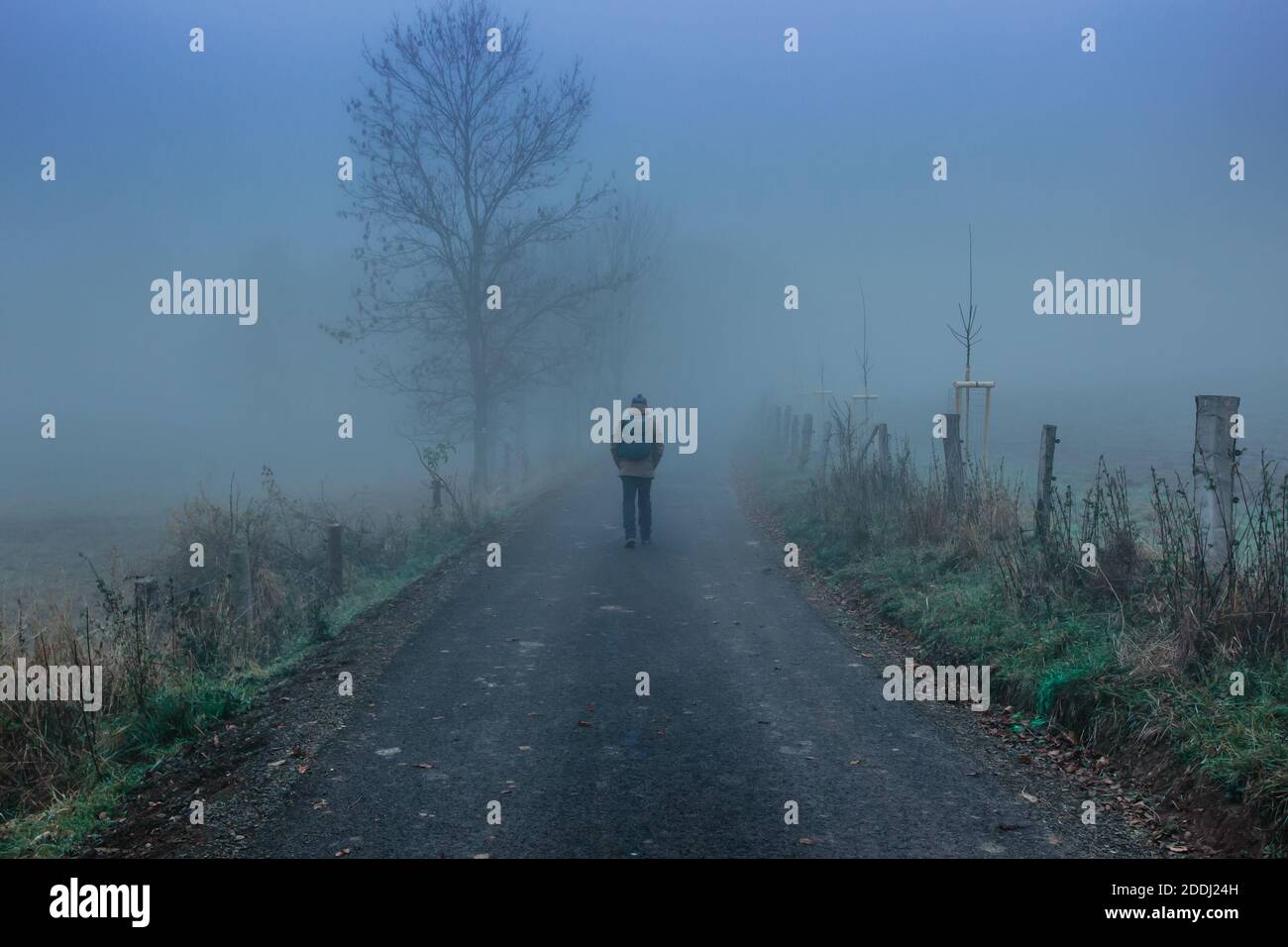 Homme marchant sur une route effrayante et brumeuse. Moody Blue FOG.Mystical FANTASY Halloween atmosphère.personne marchant à l'aventure.Horor comme décor.Dark moody Banque D'Images