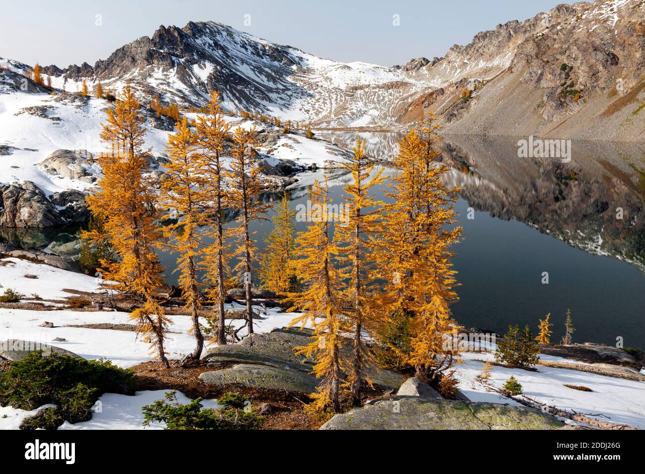 WA17772-00..... WASHINGTON - les grands arbres sont de couleur automnale à Upper Ice Lake, Glacier Peak Wilderness, Okanogan Wenatchee National Forest. Banque D'Images