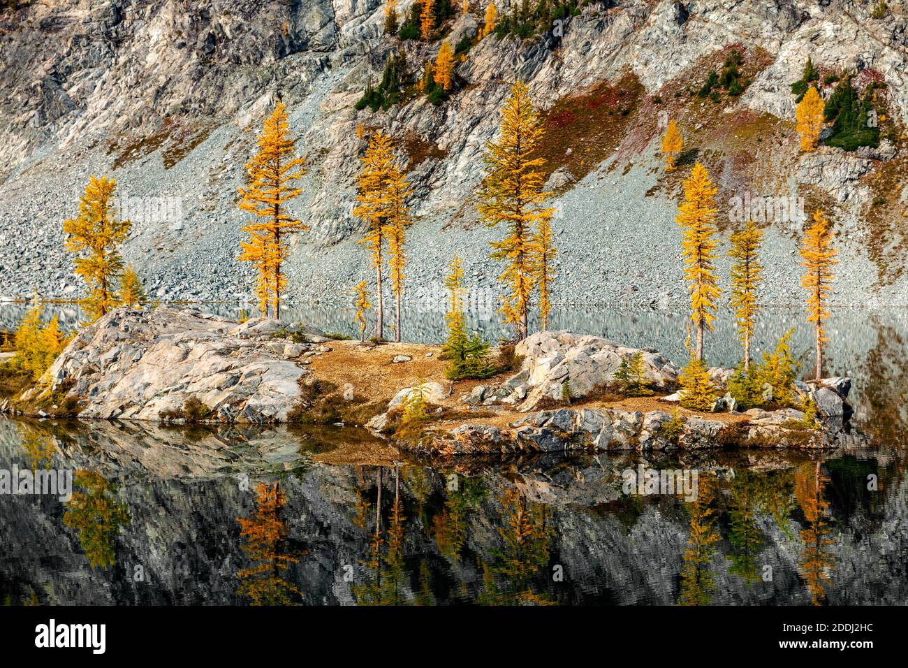WA17779-00..... WASHINGTON - les grands arbres sont de couleur automnale à Lower Ice Lake, Glacier Peak Wilderness, Okanogan Wenatchee National Forest. Banque D'Images