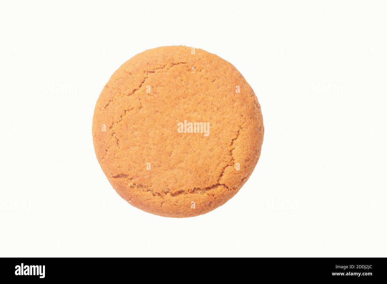 Un biscuit Noix de gingembre sur un fond blanc Banque D'Images