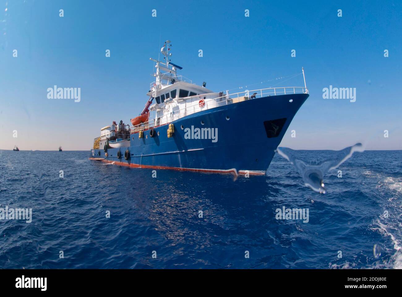 Pêche en bateau de thon rouge de l'Atlantique en mer Méditerranée. Banque D'Images