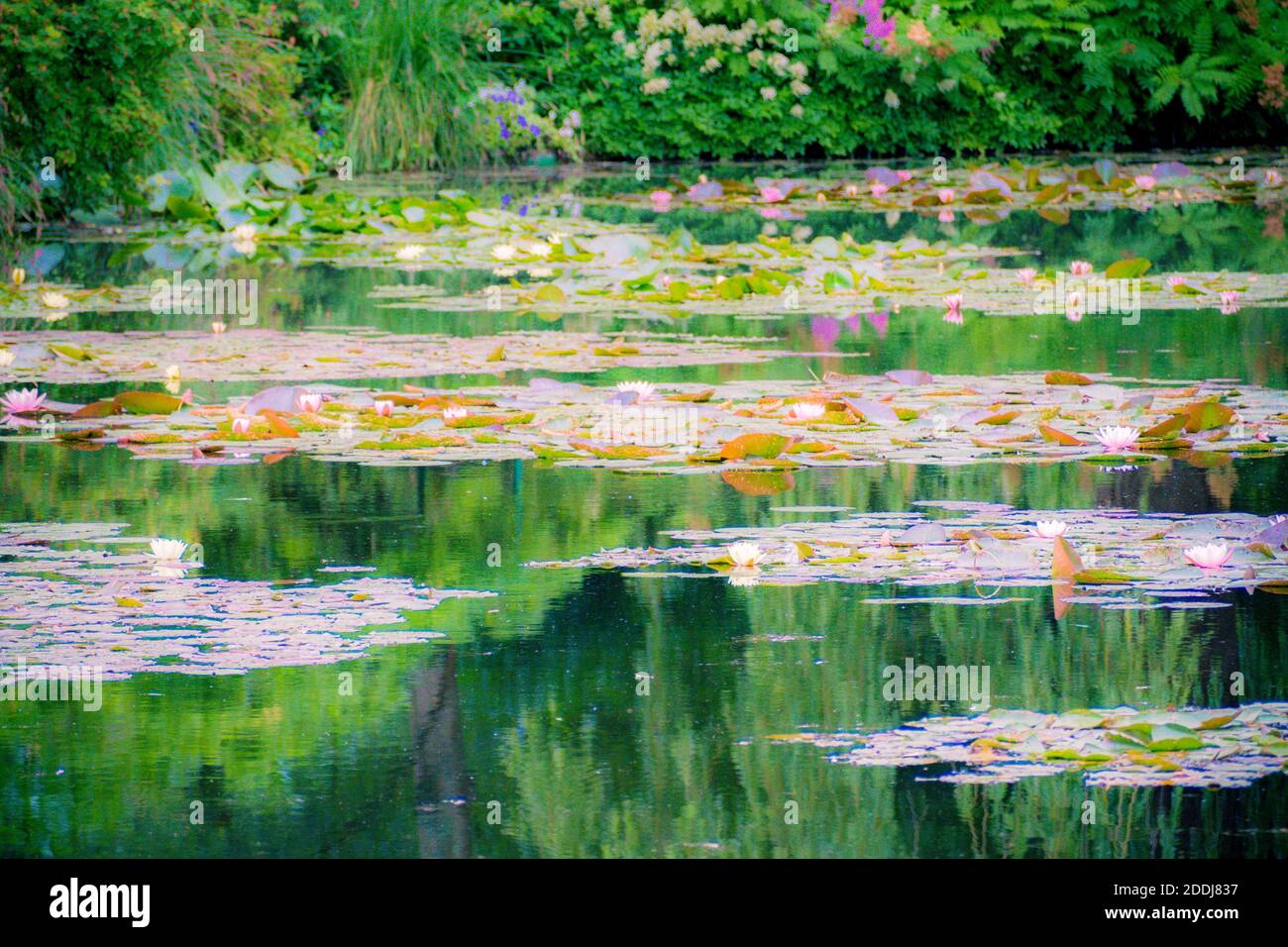 Les Jardins de Monet à Giverny - jardin de Monet - Maison et jardins de nénuphars de l'artiste français Claude Monet à Giverny, France Banque D'Images