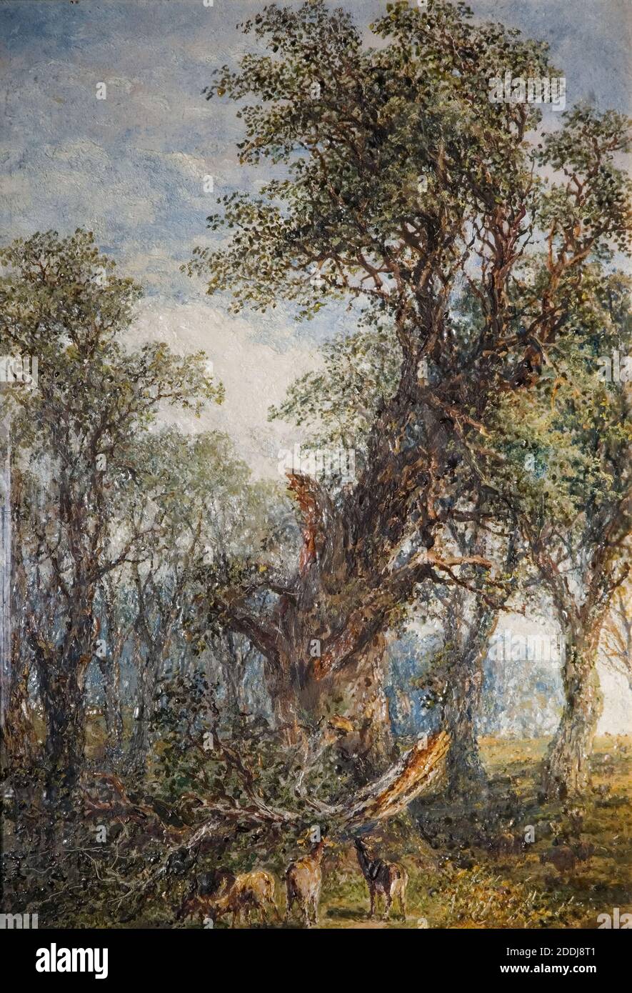 Le Broken Bough, 1881 par Frederick Henry Henshaw, arbre, peinture à l'huile, faune, forêt Banque D'Images