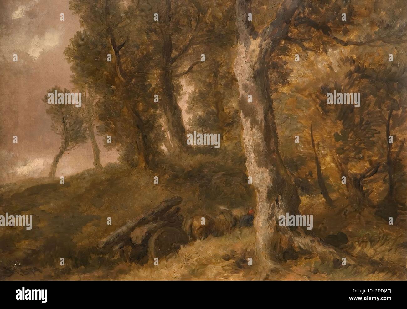 Etude des arbres, 1874 par Sir John Gilbert, arbre, Paysage, peinture à l'huile, Forêt Banque D'Images