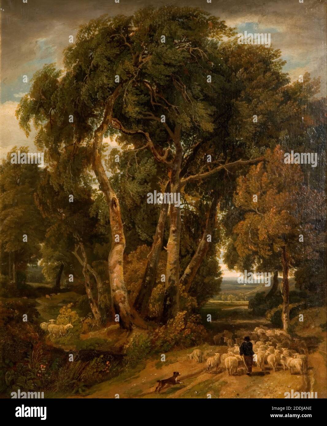Driving Home The Flock, 1806 par William Havell, arbre, Paysage, peinture à l'huile, animal, mouton, campagne, Forêt Banque D'Images