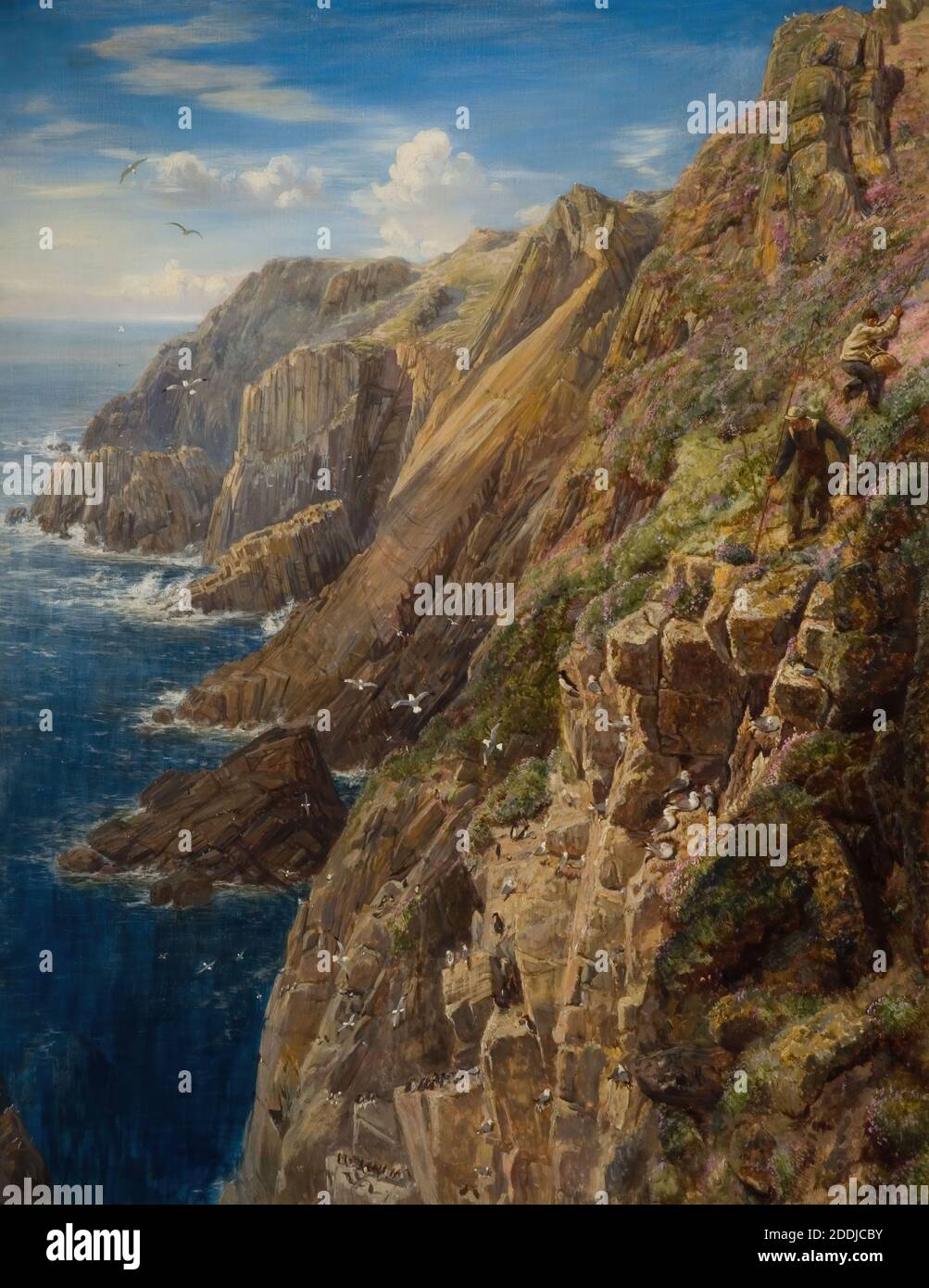 Lundy Island, 1857 Charles Thomas Burt, peinture à l'huile, oiseau, paysage marin, falaise Banque D'Images