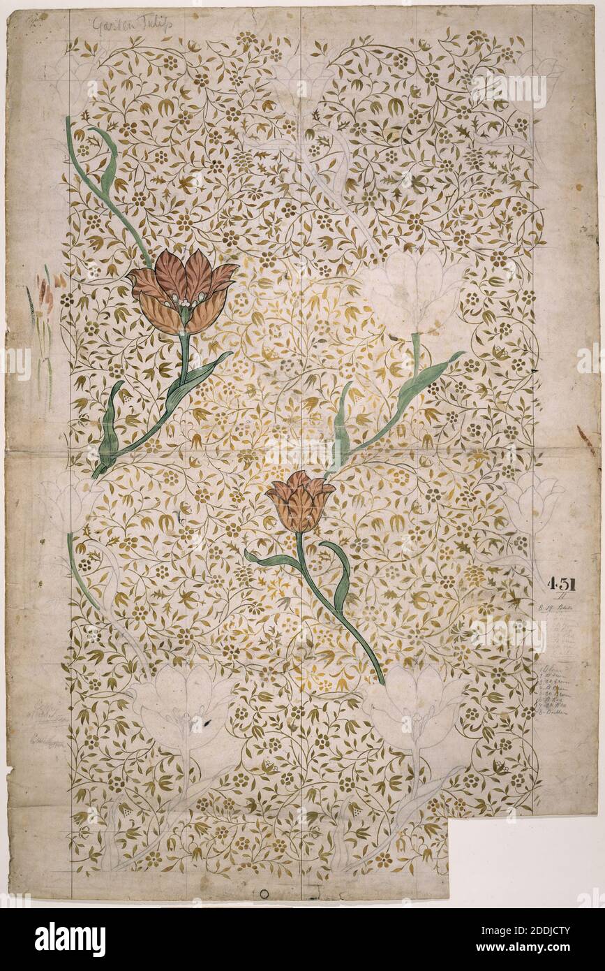 Garden Tulip, 1885 William Morris, Design for Wallpaper, Applied Arts, Arts and Crafts, Aquarelle, Flower, Tulip, Design, Graphic Design, Pattern Banque D'Images