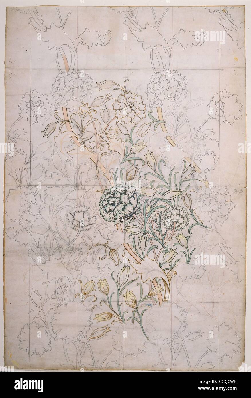 Wild Tulip, 1884 William Morris, Design for Wallpaper, Arts and Crafts, Aquarelle, Flower, Tulip, Flower, Design, Graphic Design, Pattern Banque D'Images