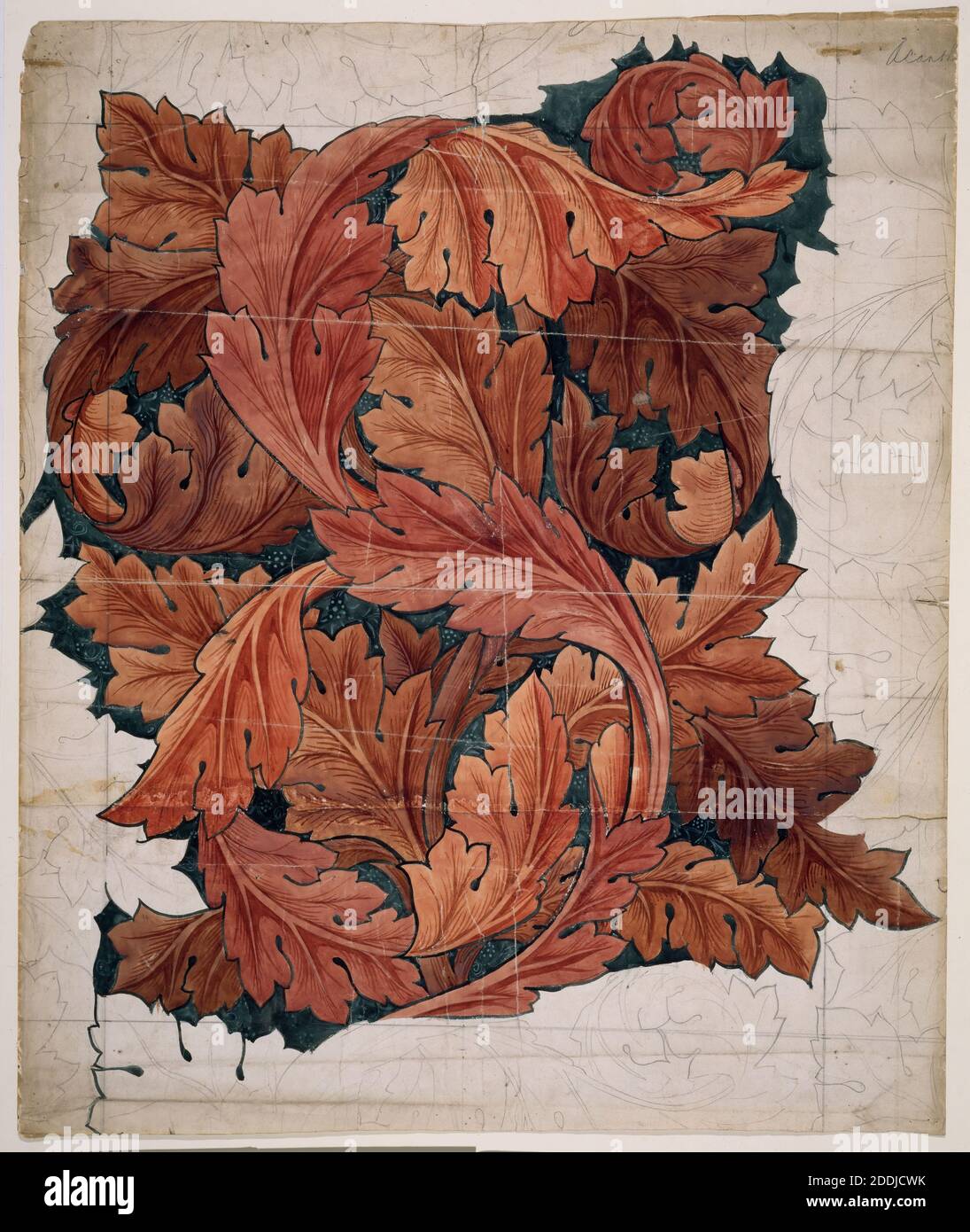 Acanthus, 1879-1881 papier peint design par William Morris, WatercolorPre-Raphaelite, Design Banque D'Images