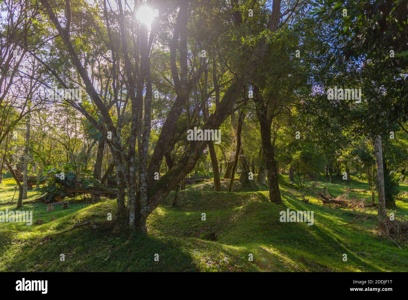 Ruines de la Mission jésuite Nuestra Señora de Loreto près de San Ignacio, province Misiones, Argentine, Amérique latine Banque D'Images