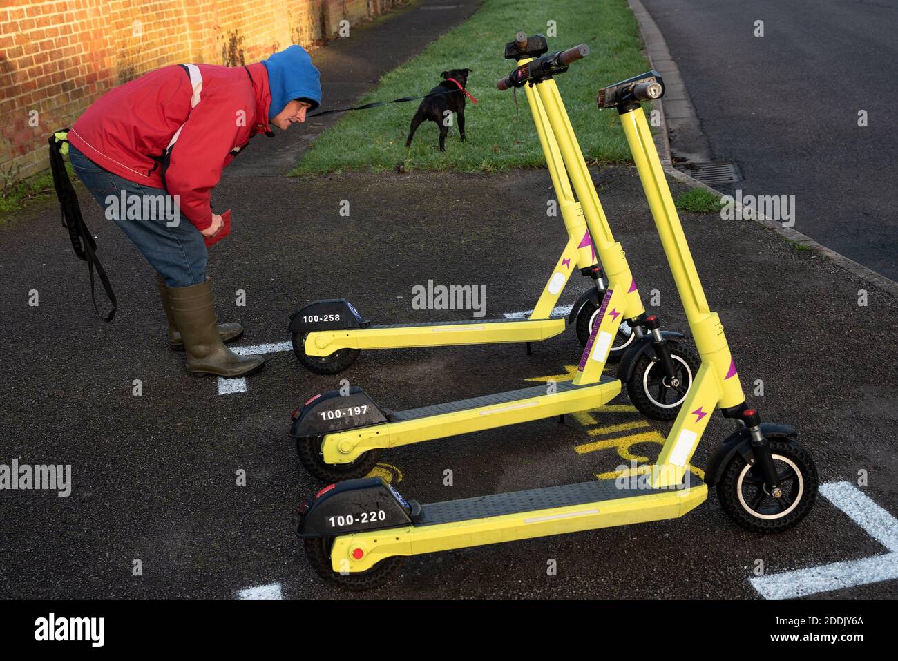 Juridique à long terme Banque de photographies et d’images à haute