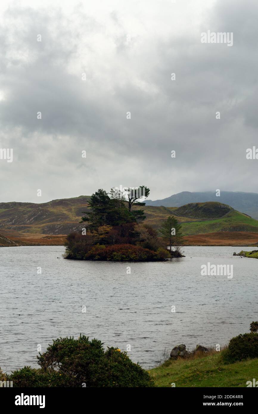 Automne, lac Cregennan à Gwynedd, pays de Galles, avec les collines derrière dans les nuages et une île Banque D'Images