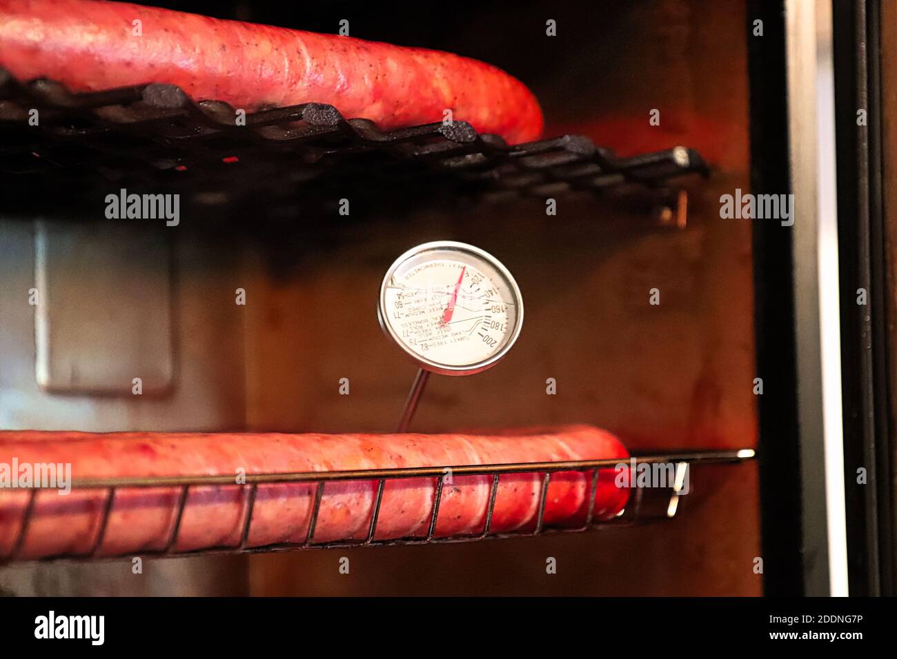 Un thermomètre à viande placé dans la saucisse à fumer Banque D'Images