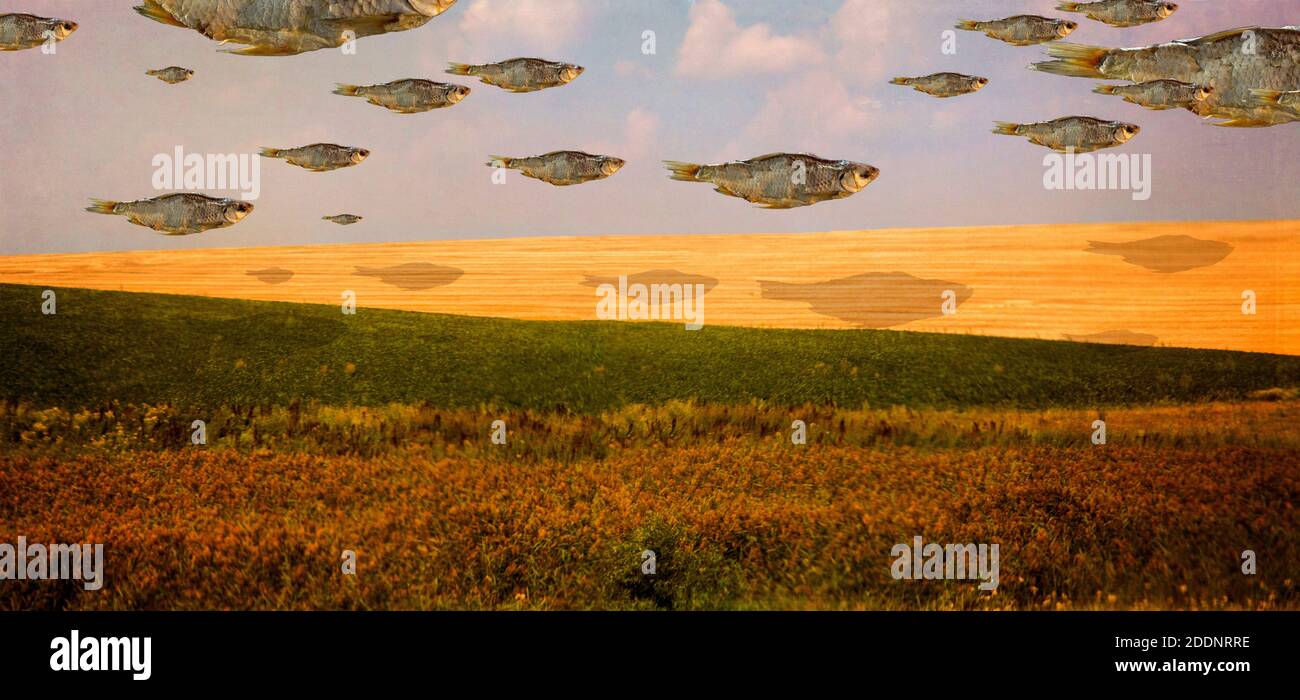 Collage surréaliste avec poisson séché 'Flock Fish' Banque D'Images