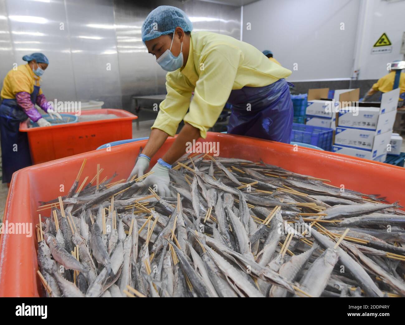 Xiapu, comté de Xiapu, dans la province du Fujian, au sud-est de la Chine. 26 novembre 2020. Les travailleurs traitent le poisson dans une entreprise située dans la ville de Sansha, dans le comté de Xiapu, dans la province de Fujian, au sud-est de la Chine, le 26 novembre 2020. En optimisant les procédures d'exportation, Xiapu a réduit le délai moyen de remboursement de la taxe à l'exportation à moins de cinq jours ouvrables, ce qui aide efficacement les sociétés exportatrices à mieux fonctionner. Credit: Song Weiwei/Xinhua/Alay Live News Banque D'Images