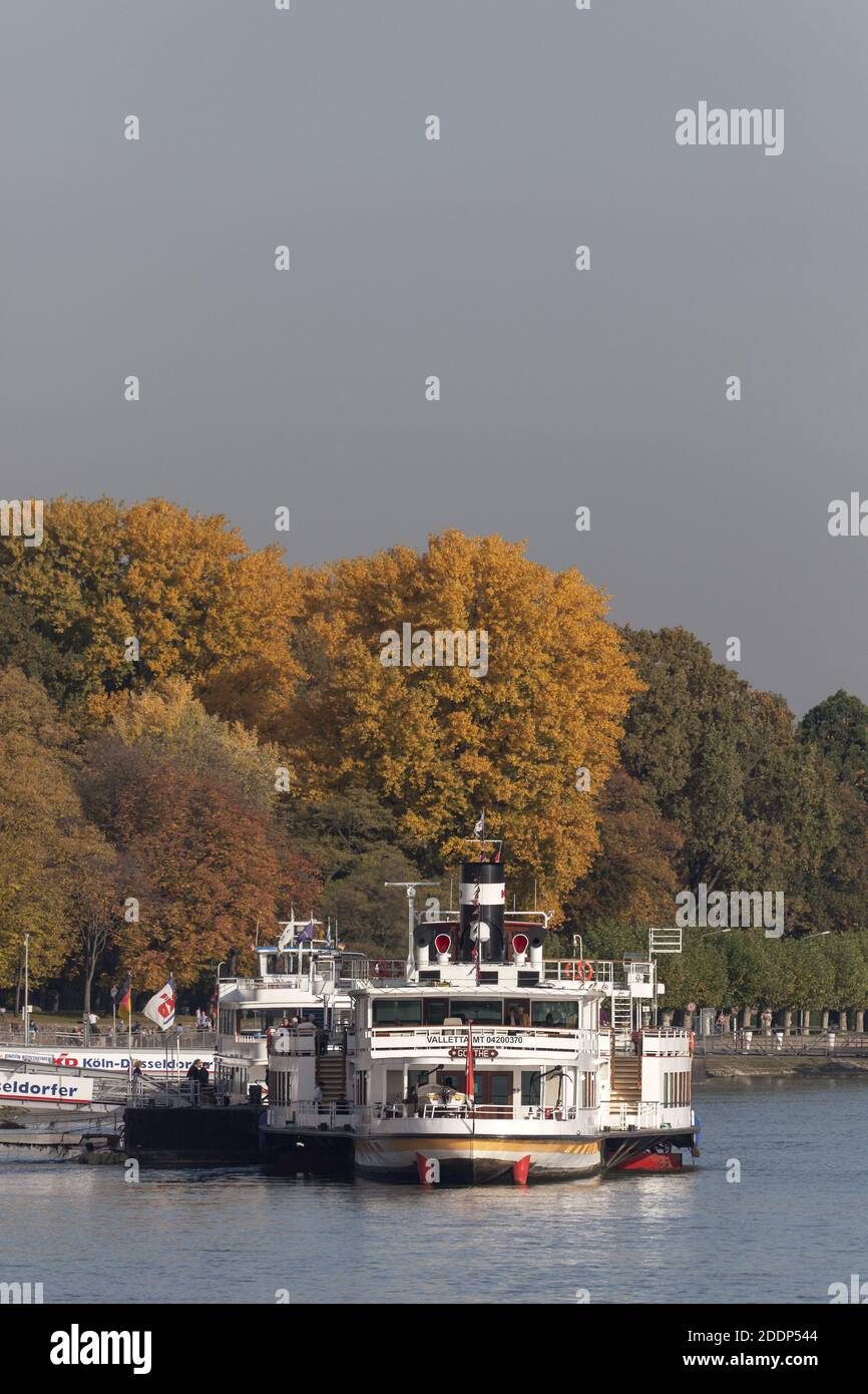 Géographie / Voyage, Allemagne, Hesse, Ruedesheim sur le Rhin, bateau à aubes 'Goethe' au Rhin i, droits-supplémentaires-autorisations-Info-non-disponible Banque D'Images