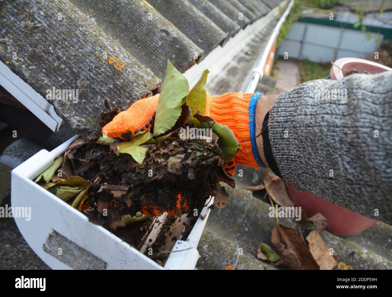 Un homme nettoie une gouttière de toit obstruée de la saleté, des débris et des feuilles tombées pour éviter d'endommager l'eau et laisser l'eau de pluie s'écouler correctement. Banque D'Images
