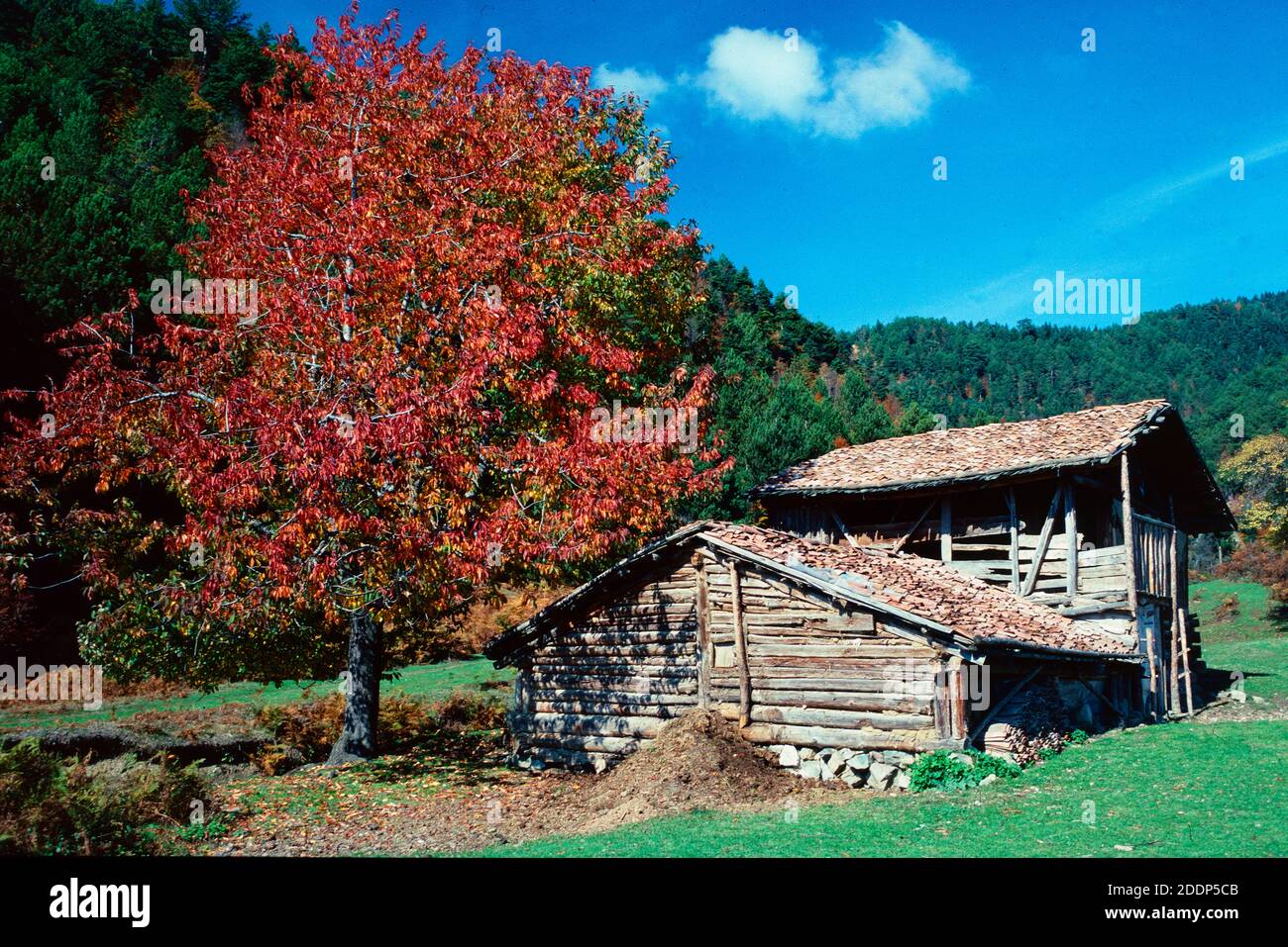 Couleurs d'automne et ancienne ferme en bois ruiné à Yedigoler National Parc Bolu Turquie Banque D'Images