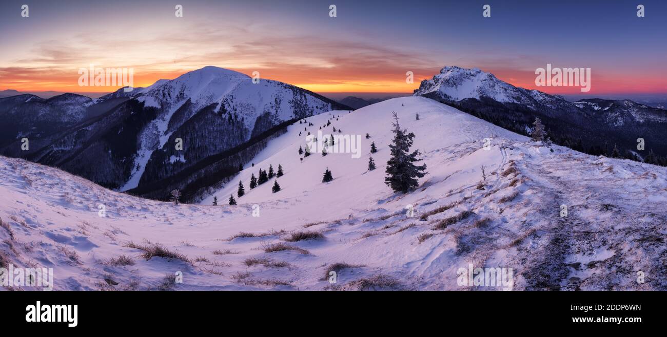 Paysage de montagne gelé d'hiver en Slovaquie, près de Terchova Banque D'Images