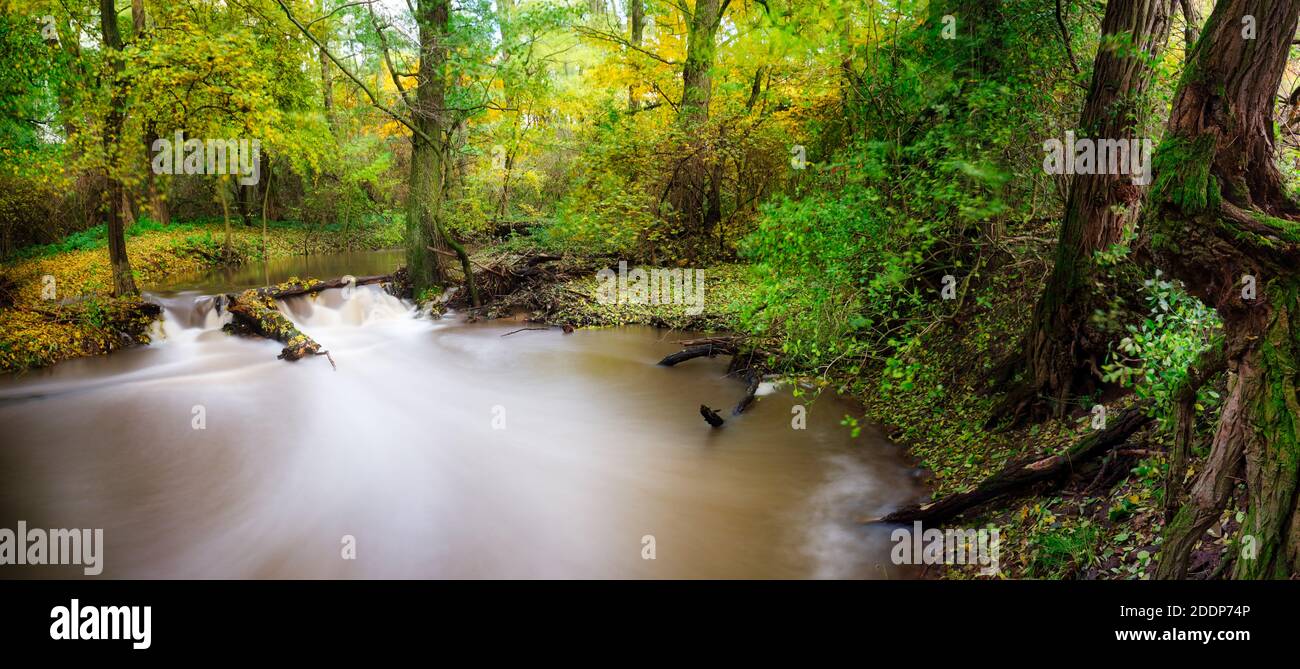 Paysage d'automne magnifiques arbres colorés au-dessus de la rivière. Magnifique arrière-plan pittoresque. Couleur dans la nature. Banque D'Images