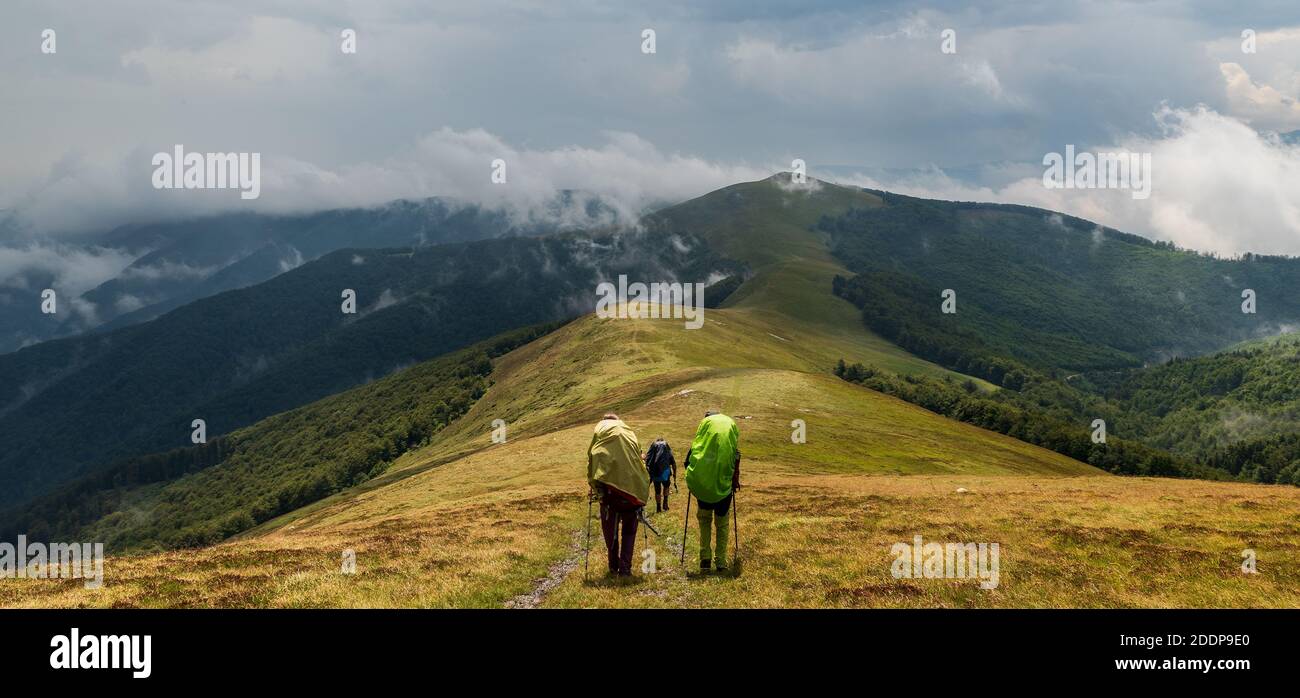 Randonnée dans les montagnes carpathes couvertes de prairies et de forêts profondes En Roumanie - montagnes sauvages de Valcan avec colline de Muncel pendant jour de pluie Banque D'Images