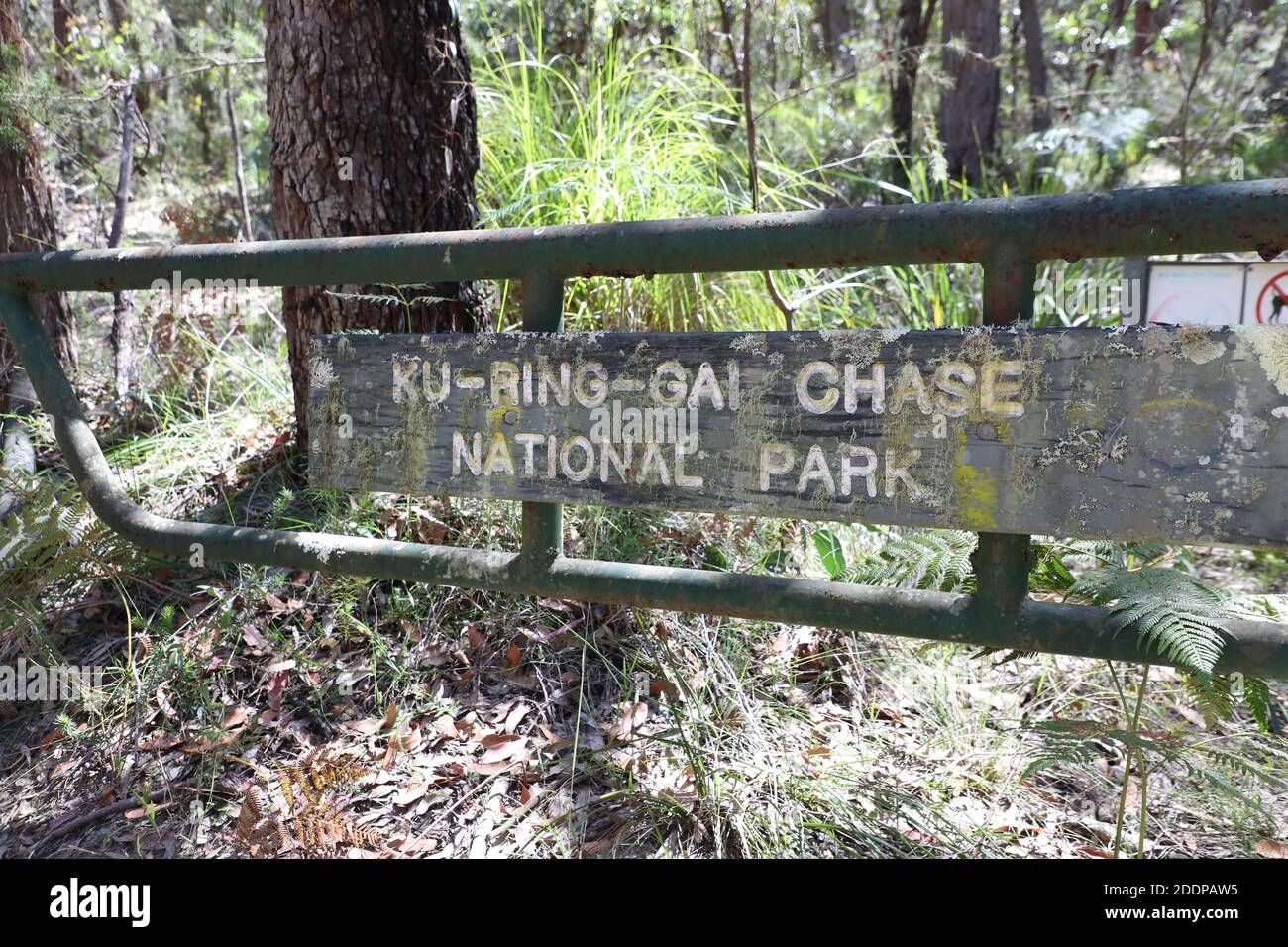 Parc national de Ku-ring-gai Chase, Sydney, Australie. Banque D'Images