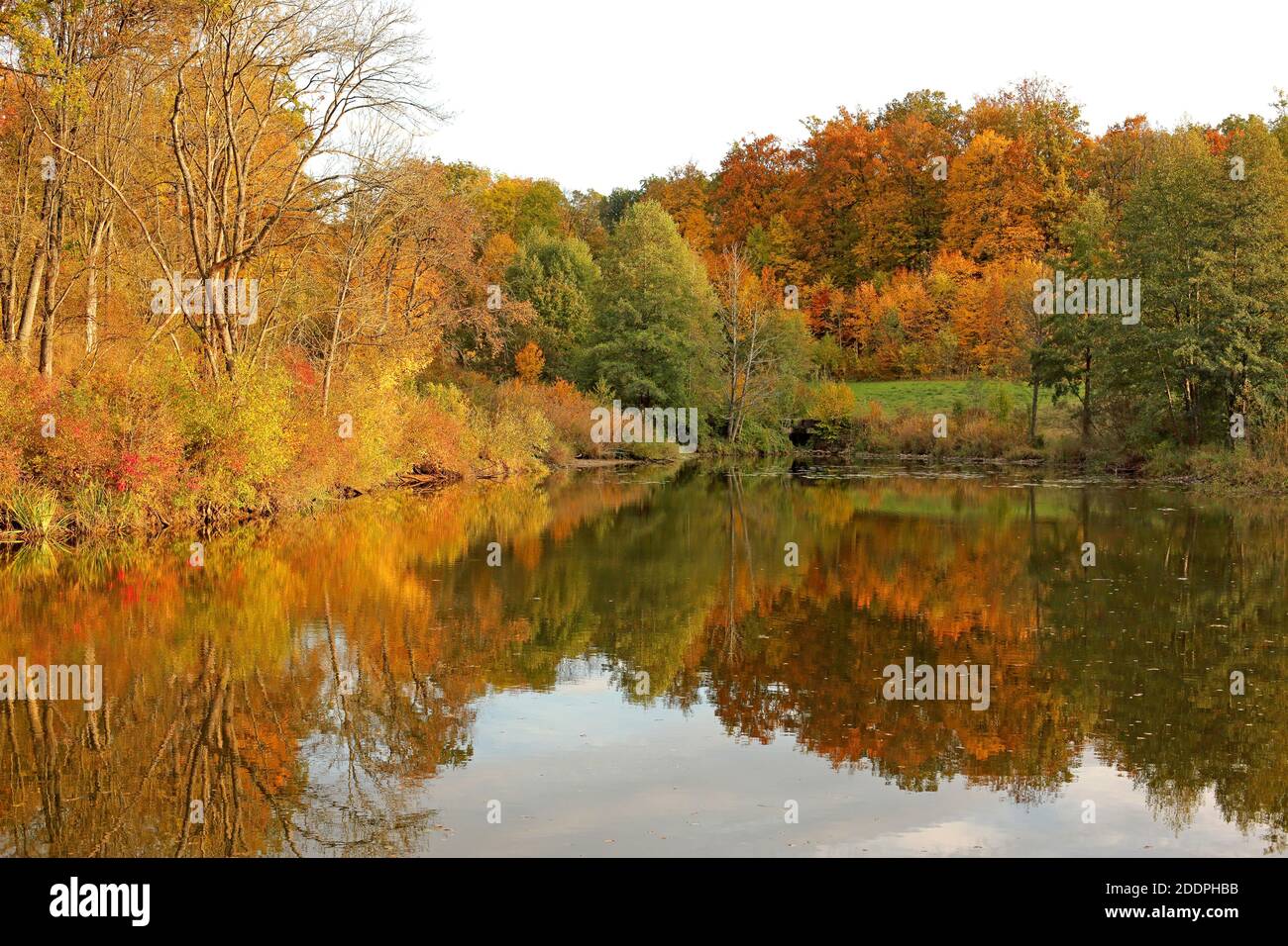 Ambiance d'automne dans un lac, Allemagne, Bade-Wurtemberg Banque D'Images