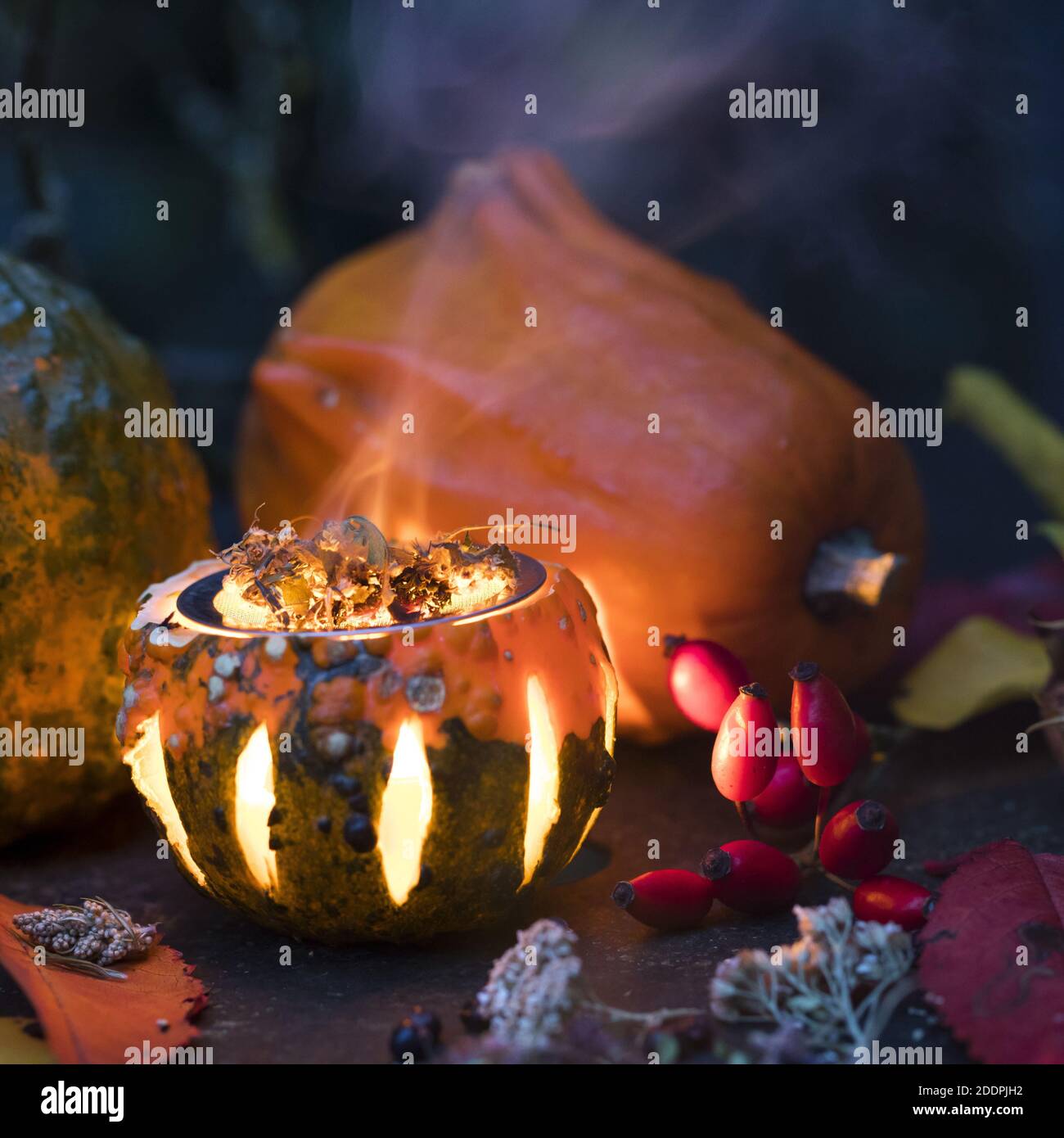 Fumer avec des herbes aromatiques dans une citrouille avec un thé léger, Allemagne Banque D'Images