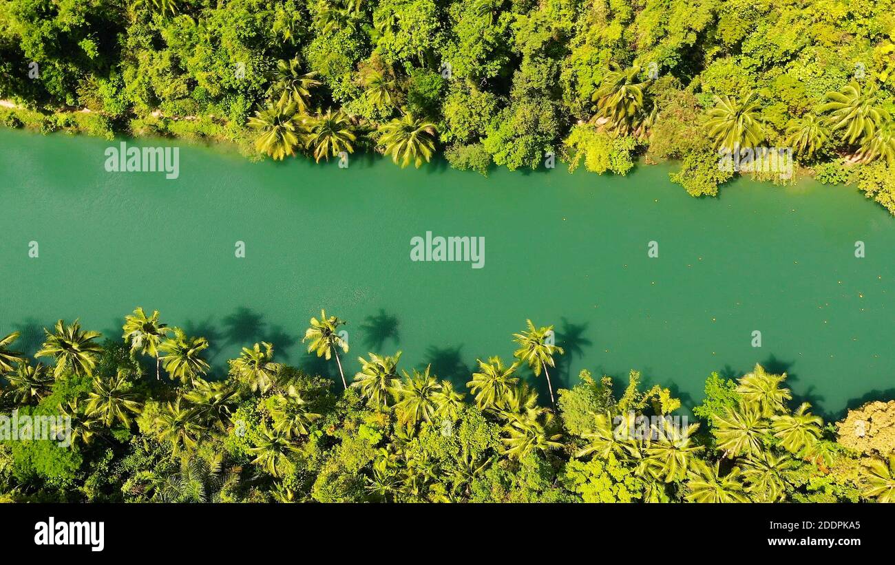 Rivière et forêt tropicale en été. Le drone vole sur la rivière. Paysage aérien. Bohol, Philippines. Banque D'Images