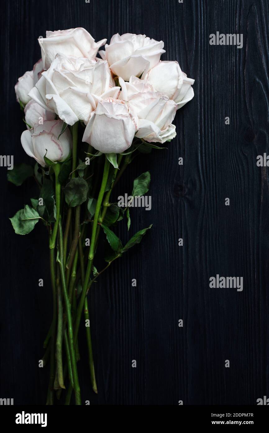 Roses Blanches Delicates Sur Fond Noir En Bois Gros Plan Beau Bouquet De Fleurs Rose Clair Sur Bois Gris Fonce Carte De Vœux D Anniversaire Mariage Photo Stock Alamy