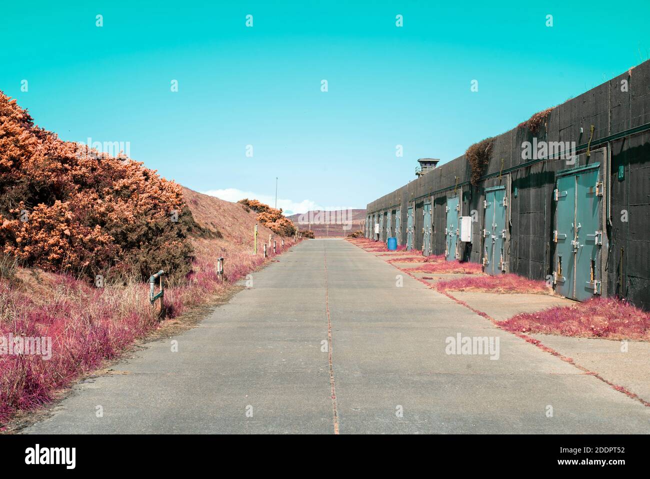 Base pneumatique rose infrarouge Banque D'Images