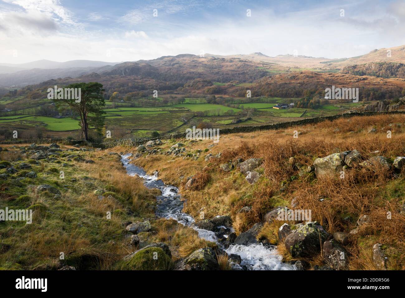 Vue d'automne sur la vallée de Duddon depuis les coquillages de Seathwaite dans le parc national de Lake District, Cumbria, Angleterre. Banque D'Images