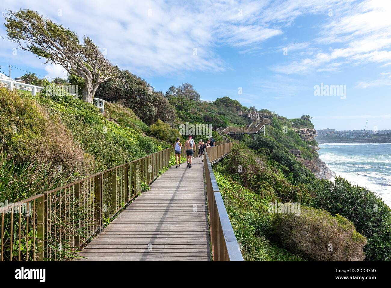 Sydney, Australie - personnes marchant sur la promenade côtière de Coogee à Bondi. Cette célèbre promenade côtière s'étend sur six kilomètres dans la banlieue est de Sydney. Banque D'Images