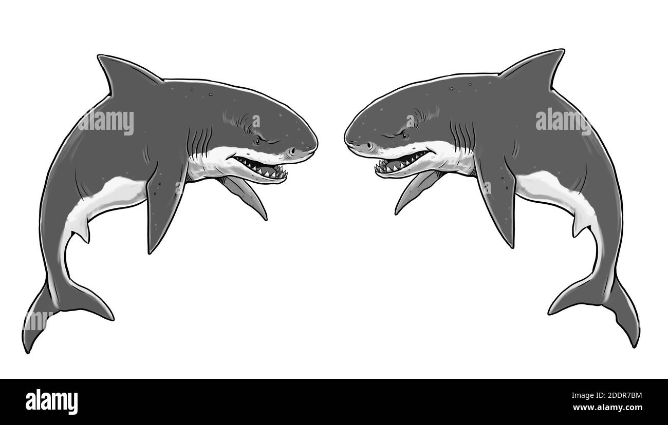 Tigre géant et requins blancs. Gros dessin de requin. Illustration monster megalodon. Banque D'Images