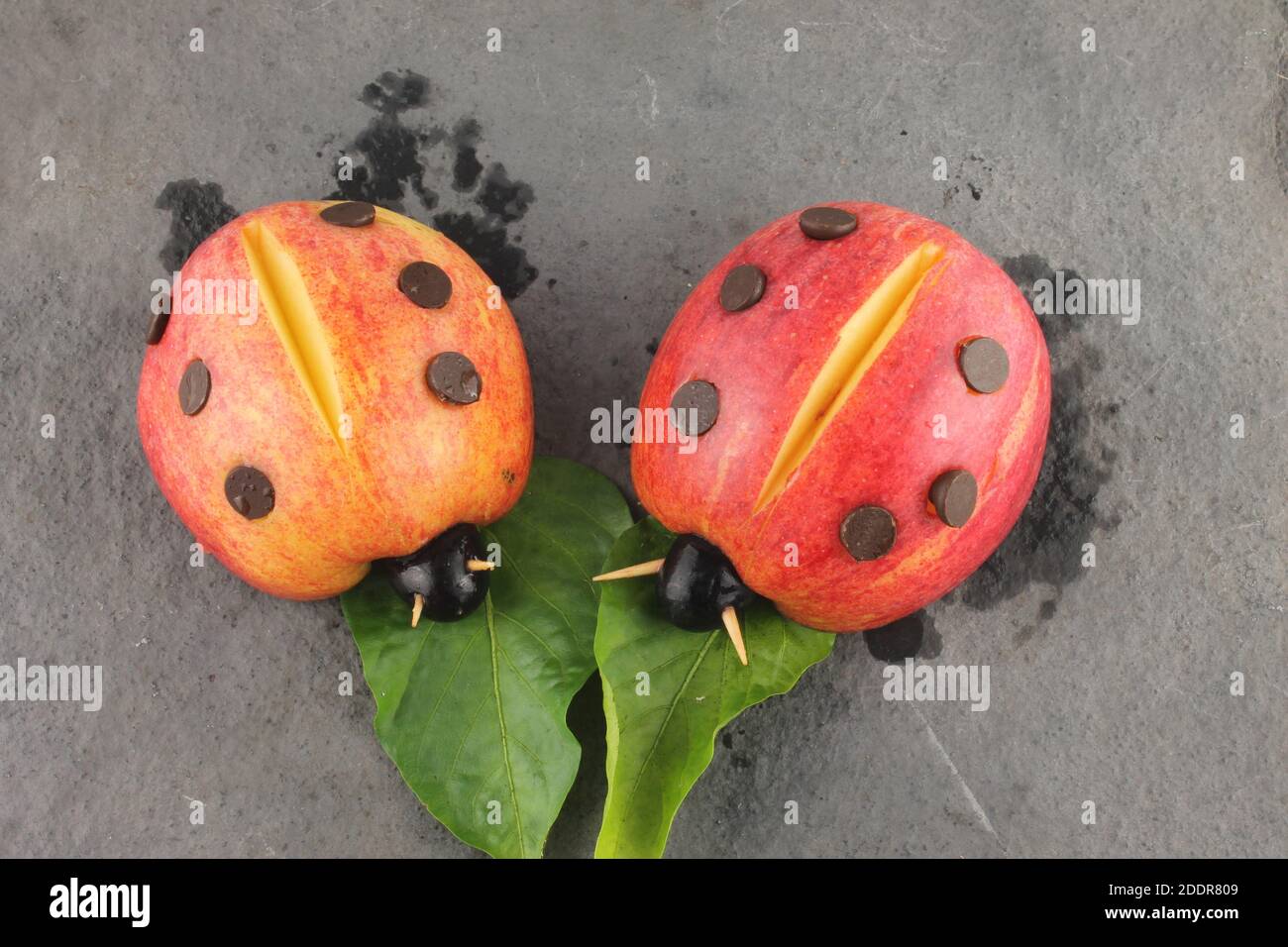 Ladybirds à base de pommes, de raisins noirs et de copeaux de chocolat nourriture de fête amusante et saine pour les enfants Banque D'Images