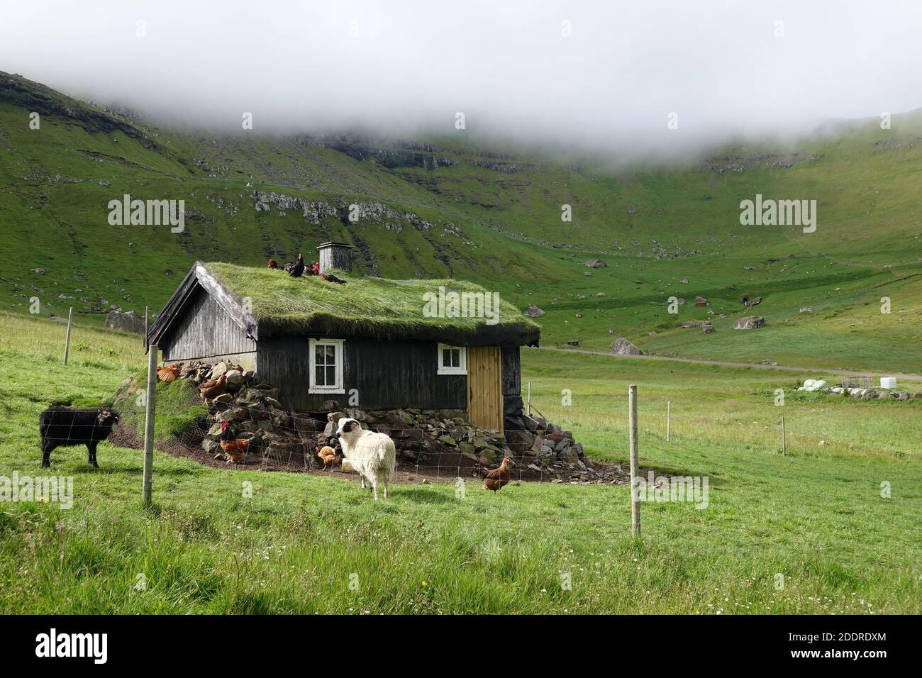 Cabane à gazon dans le désert, îles Féroé Banque D'Images