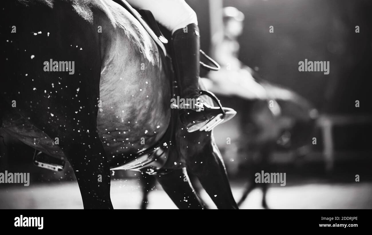 Image en noir et blanc d'un cheval rapide avec un cavalier dans la selle, qui tourne à un galop et soulève les sabots de la poussière d'air et du sable de l'outdo Banque D'Images