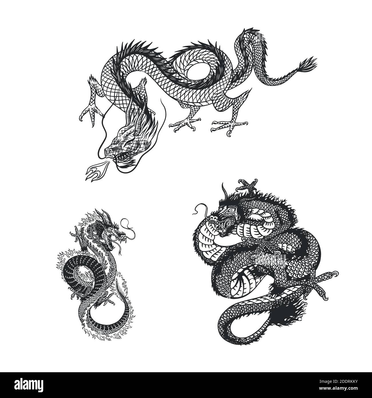 Dragon japonais. Animal mythologique ou reptile traditionnel asiatique. Symbole pour tatouage ou étiquette. Dessin au trait gravé à la main Art ancien monochrome Illustration de Vecteur