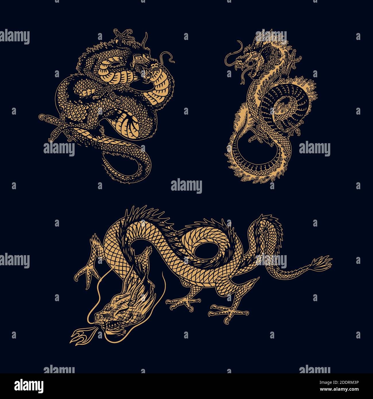 Dragon japonais. Animal mythologique ou reptile traditionnel asiatique. Symbole pour tatouage ou étiquette. Dessin au trait gravé à la main Art ancien monochrome Illustration de Vecteur