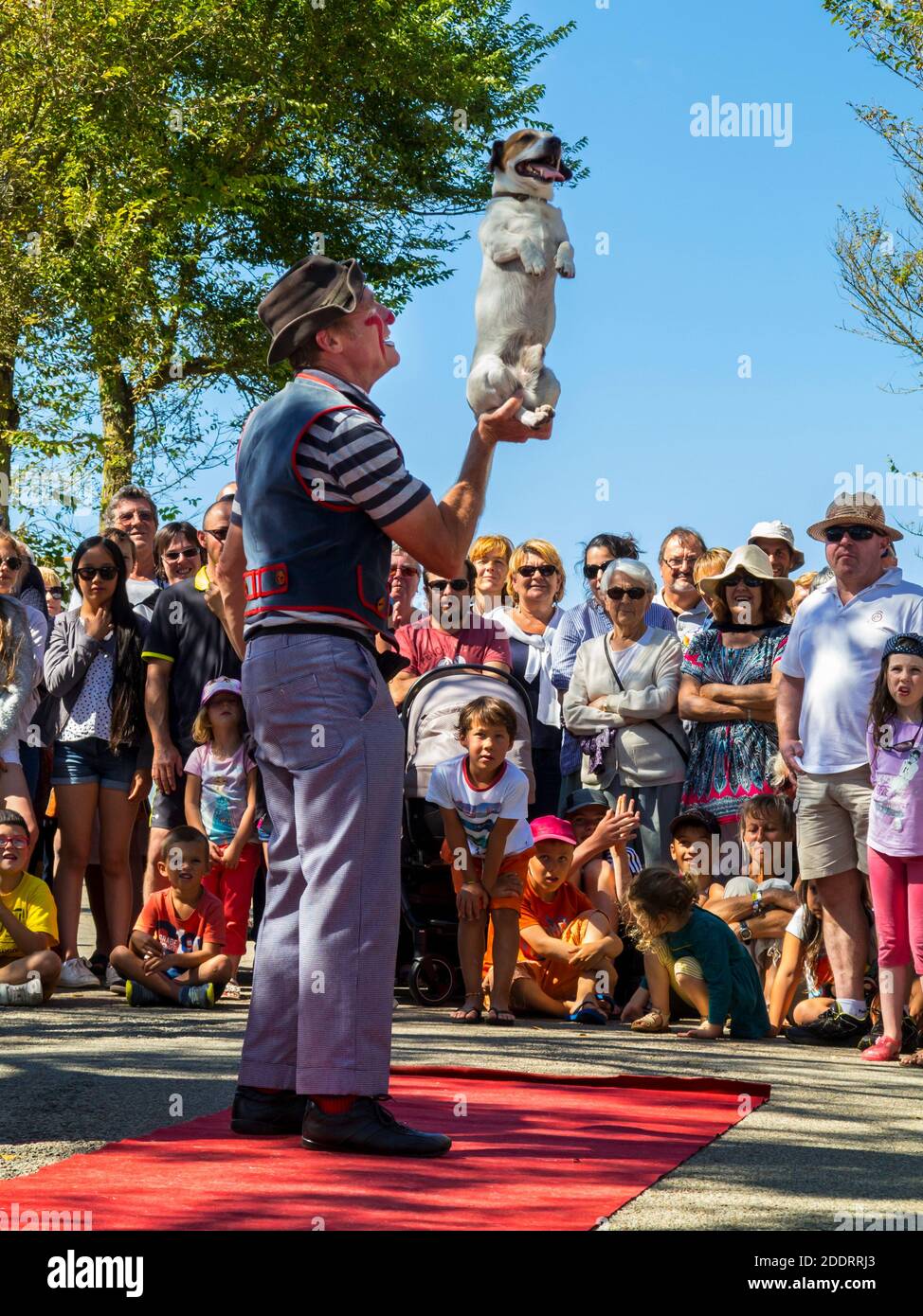 Clown traditionnel se présentant avec un chien à l'extérieur d'une foule de village à Plovan, dans le nord-ouest de la France, pendant les vacances publiques du 15 août. Banque D'Images